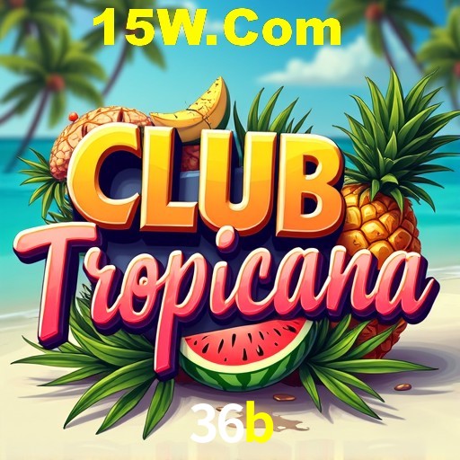 36b Rio de Janeiro - Bonus Terms